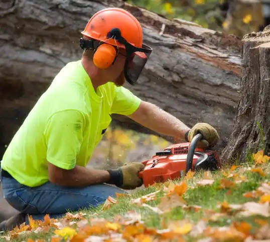 tree services Hettinger